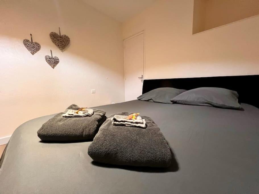 Appartement Climatise 4Prsn Au Pied De La Citadelle Besancon Bagian luar foto