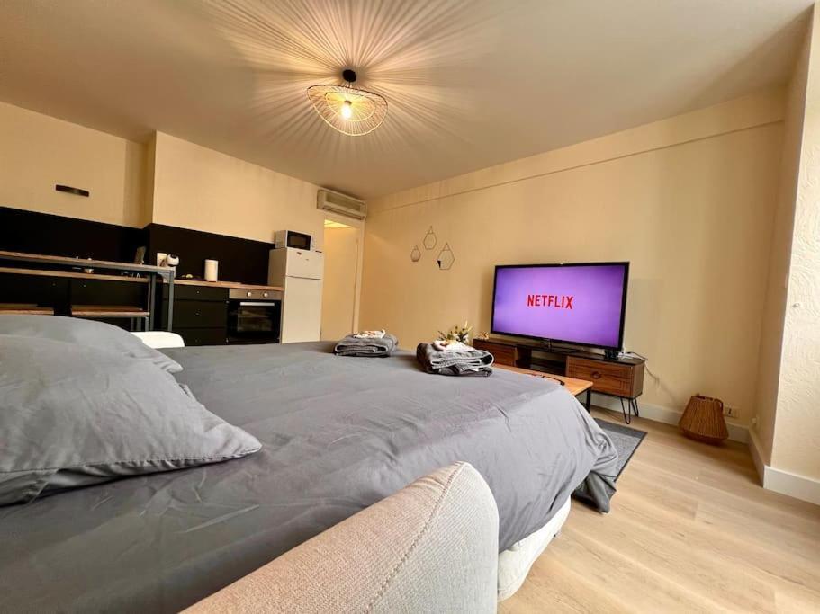 Appartement Climatise 4Prsn Au Pied De La Citadelle Besancon Bagian luar foto